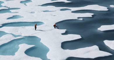 New estimates of snow depth, from a combination of lidar and radar, improve sea-ice thickness estimates, according to a new study in AGU’s Geophysical Research Letters. Arctic sea ice has lost 16% of its thickness in the last three years, the study finds. CREDIT: NASA/Kathryn Hansen