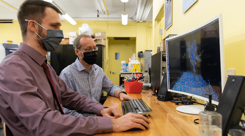 Lead author Sebastian Himbert (left) and professor Maikel Rheinstadter (right), who supervised the paper, in their lab at McMaster University. CREDIT: Matthew Clarke/McMaster University
