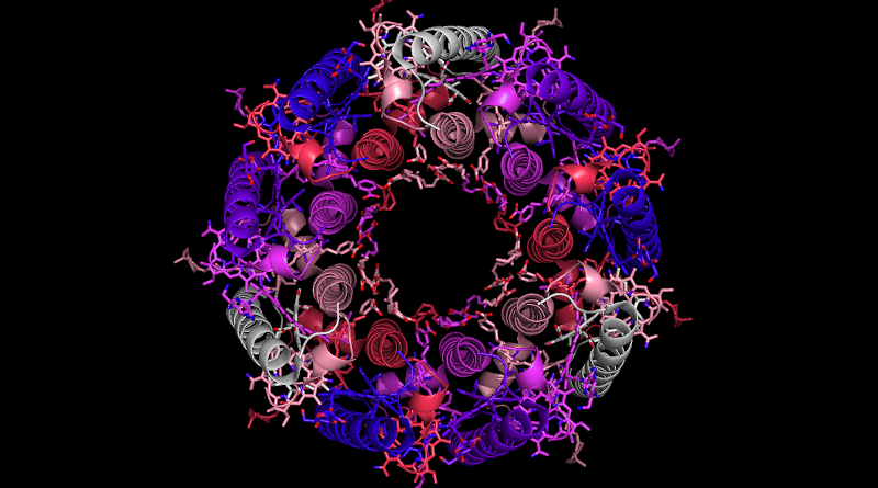 Molecular machinery, like this light-harvesting complex from a bacterium, is often strikingly symmetric. The new theory suggests that this symmetry emerges naturally from how information is encoded and used in evolution.Image: Iain Johnston/ PyMOL-Source data: PDB DOI: 10.2210/pdb1NKZ/pdb ; Papiz et al. (2003) J Mol Biol 326: 1523-1538