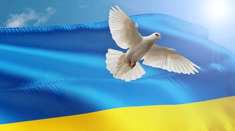 Ukraine Peace Banner Dove Flag War Politics