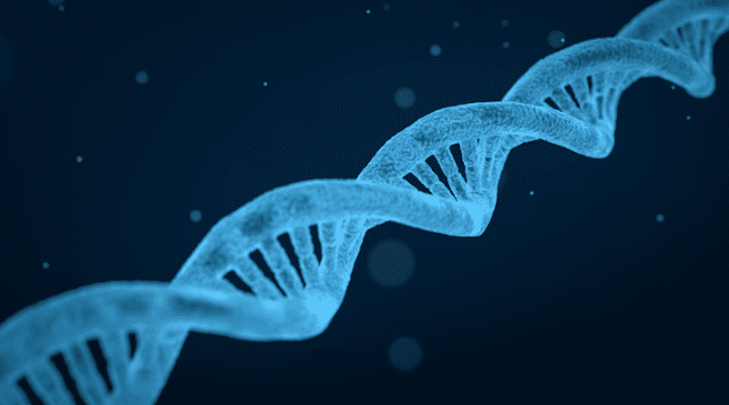 DNA Double Helix CREDIT: Arek Socha