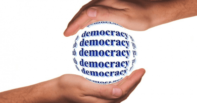 democracy hands globe