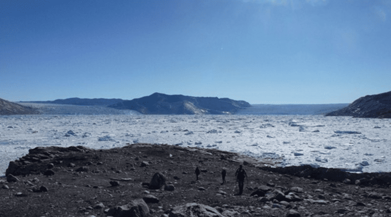 Overlooking the iceberg-covered fjord from where the margins of Akullersuup Sermia (left) and Kangiata Nunaata Sermia (right) were located in the 1920s (10 km from the current ice margin). While the Norse were in Greenland, these glaciers merged and ultimately advanced another 13 km beyond this point. Credit: James Lea.