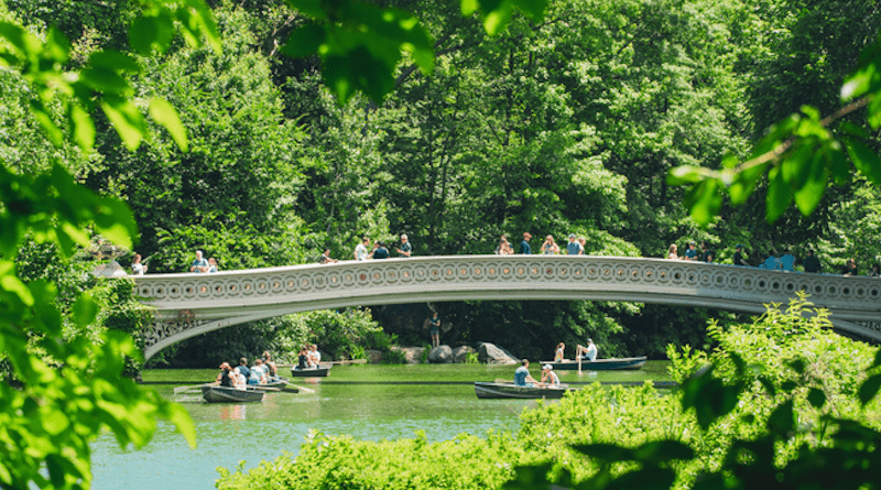 A major new study uses technology to measure the happiness effects of city parks in the 25 largest U.S. cities, from New York City to Los Angeles. The happiness effect of urban nature on users was roughly equivalent to the mood spike people experience on holidays like Thanksgiving or New Year’s Day. This photo is of Central Park, New York, USA, in 2019. CREDIT Photo by Jean Carlo Emer on Unsplash Photo: https://unsplash.com/photos/42iH1BETeoE Licence: https://unsplash.com/license