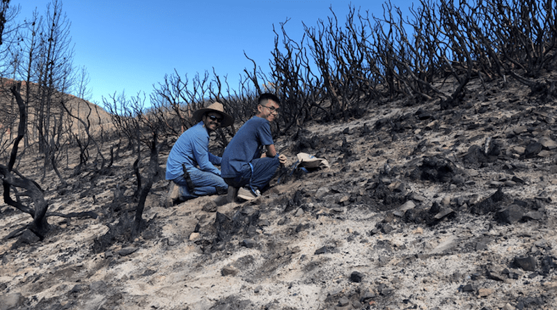 ​Pete Homyak, co-principal investigator on the new research project, and former student Kobe Luu sampling soil at the Holy Fire burn site. CREDIT: Sydney Glassman/UCR
