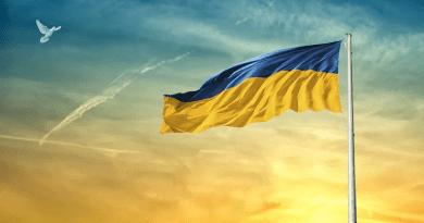 Ukraine Flag Sky Dove Bird Clouds Peace Mast