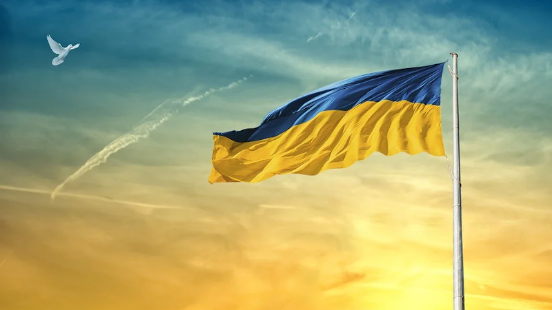 Ukraine Flag Sky Dove Bird Clouds Peace Mast