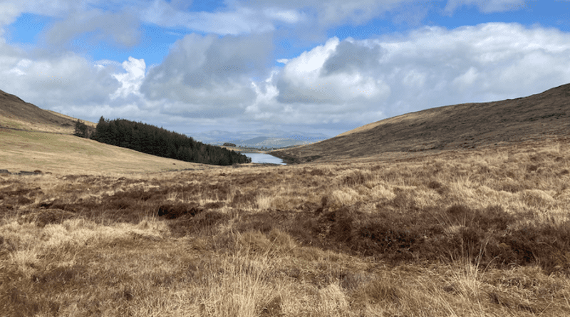 The peat-covered uplands of the North of Ireland are today used mainly for commercial forestry, sheep-grazing and outdoor recreation, but were formerly wooded and farmed. CREDIT: Helen Essell, CC-BY 4.0 (https://creativecommons.org/licenses/by/4.0/)