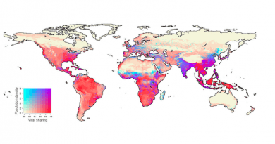 In 2070, human population centers in equatorial Africa, south China, India, and southeast Asia will overlap with projected hotspots of cross-species viral transmission in wildlife. CREDIT: Colin Carlson/Georgetown University