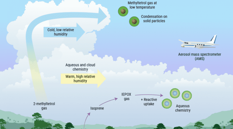 PNNL Earth scientist Manish Shrivastava and his team identified an atmospheric process that creates a type of fine particle over the Amazon rainforest. Through the process, semi-volatile gases, which are natural carbon-based chemical compounds that can easily condense to form fine particles in the upper atmosphere, are emitted throughout the Amazon rainforest by previously unrecognized in-plant and surface chemistry processes. CREDIT: (Illustration by Nathan Johnson | Pacific Northwest National Laboratory)