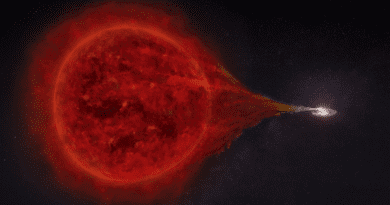 Artwork of the binary star system RS Ophiuchi: Matter flows from the red giant onto the white dwarf. The newly added stellar envelopes explode in a bright nova about every 15 years. CREDIT: superbossa.com/MPP