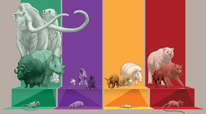 An illustration featuring mammalian herbivores (green), omnivores (purple), invertivores (yellow) and carnivores (red). Each column includes mammal species lost in the past 2.58 million years (light shade); those expected to be lost in the near future (medium shade, probability of extinction >50%); and those likely to persist (dark shade, probability of extinction