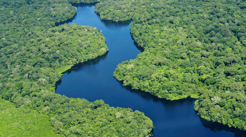 One of the world's longest rivers, the Amazon is known for its exceptional biodiversity. Contrary to conventional wisdom, which has associated species richness mostly with tropical regions, UArizona ecologists found that freshwater habitats in general tend to boast high biodiversity considering their tiny area compared to terrestrial and ocean habitats. CREDIT: Neil Palmer/CIAT (Wikimedia Commons)