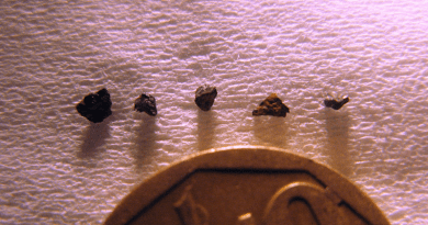 The tiny samples of the extraterrestrial Hypatia stone next to a small coin. Rare type Ia supernovas are some of the most energetic events in the universe. Researchers found a consistent pattern of 15 elements in the Hypatia stone. The pattern is completely unlike anything in our solar system or our solar neighbourhood, the Milky Way. Prof Jan Kramers (University of Johannesburg) is the lead author. CREDIT: Jan Kramers