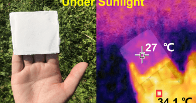 A lightweight foam (left image) made from cellulose nanocrystals keeps its cool in the sun (pink box; right image). CREDIT Adapted from Nano Letters 2022, DOI: 10.1021/acs.nanolett.2c00844