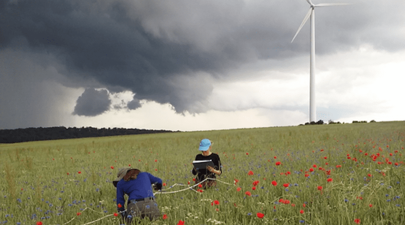 Students in an organic wheat field near Bodensee, a municipality in the district of Göttingen, Germany. CREDIT: Sinja Zieger