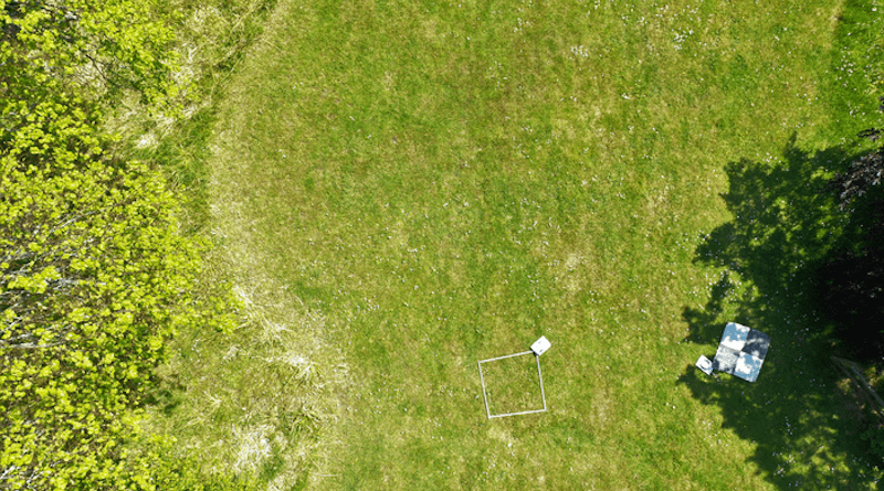 Drone image showing the distribution of wildflowers CREDIT: Karen Anderson