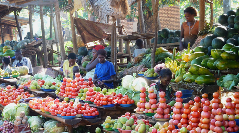 A diverse food supply is extremely important for healthy development. CREDIT Photo: Matin Qaim/University of Bonn