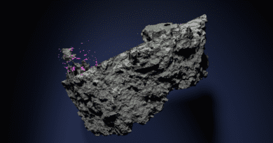 3d rendering of the meteorite CREDIT: Josefin Martell