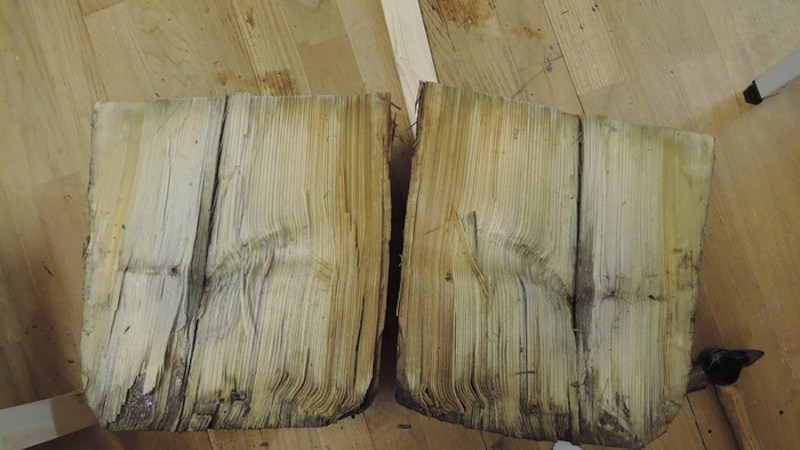 A split wooden pile showing incipient soft rot caused by fungi. CREDIT Charlotte Björdal