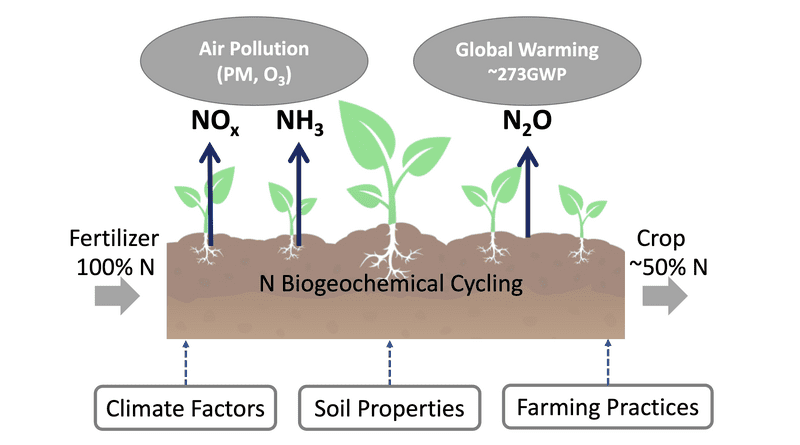 A study by Rice University environmental scientists analyzed the cost of reactive nitrogen emissions from fertilized agriculture and their risks to populations and climate. Nitrogen oxides (NOx) and ammonia (NH3) react to create air pollution in the form of particulate matter and ozone, while nitrous oxide (N2O) contributes to global warming and stratospheric ozone depletion. CREDIT: Illustration by Lina Luo/Cohan Research Group