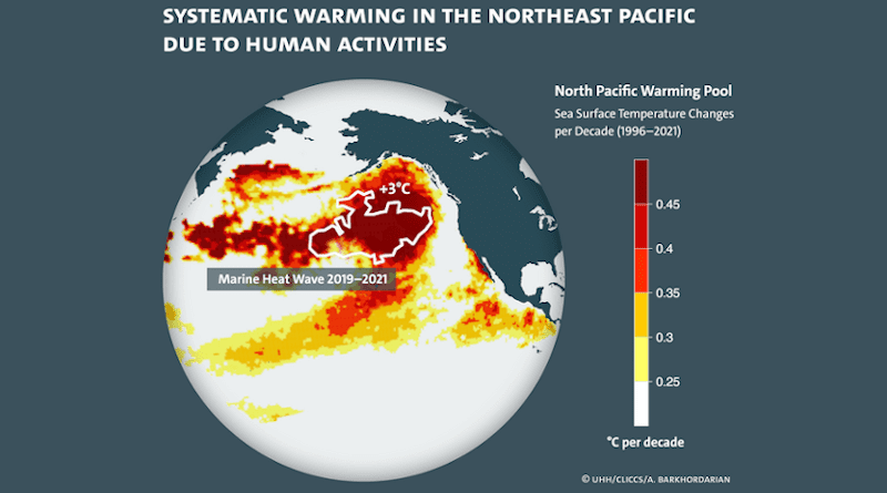 The image shows the increase of water temperature over the northeast Pacfic Ocean from 1996 to 2021 (Pacfic warming pool). The measurments are shown in °C per decade increase. The white counter represents the 2019-2021 marine heatwave co-located with the “warming pool”. CREDIT: UHH/CLICCS/A. Barkhordarian
