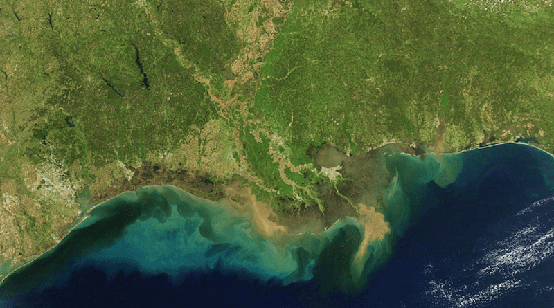 The Mississippi River flowing into the Gulf of Mexico. According to researchers at the University of Texas Institute for Geophysics, river sediments and ocean currents helped simple sea life in the Gulf survive a deep-ocean mass extinction 56 million years ago. CREDIT: U.S. Geological Survey