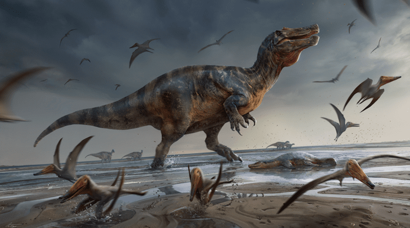 Illustration of White Rock spinosaurid by Anthony Hutchings CREDIT: UoS/A Hutchings