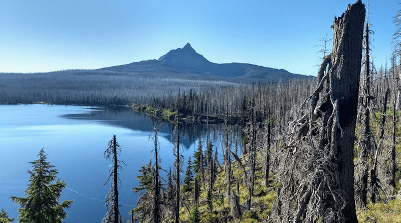 Big Lake, Oregon (same lake seen in the remote sensing picture) following 2012 Shadow Lake Fire. Mt. Washington can be seen in the background. CREDIT: Sebastian Busby