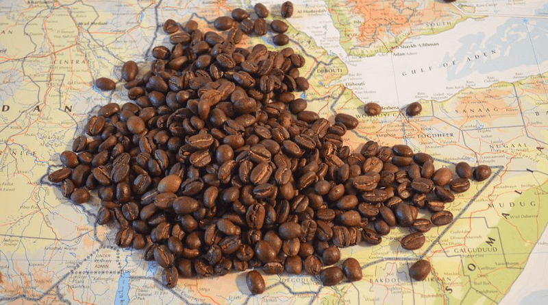 Coffee Map Ethiopia Beans Africa Sidamo Brown Map