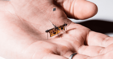 The first wireless flying robotic insect takes off CREDIT: Sawyer Fuller