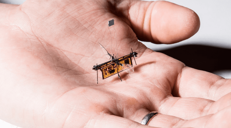 The first wireless flying robotic insect takes off CREDIT: Sawyer Fuller