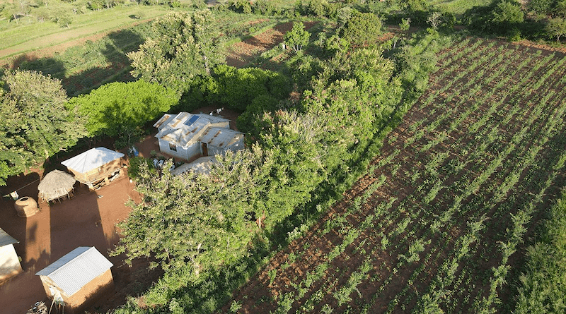 Oilseed collection and pressing plant (agri-hub) in Makueni, Kenya. Photo Credit: Eni