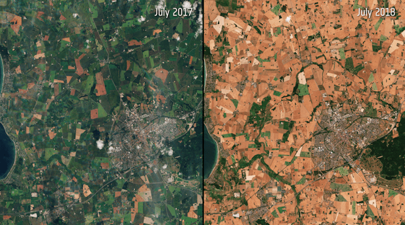 Satellite imagery shows the landscape in Denmark in a typical July in contrast to the dry, hot conditions with little vegetation in July 2018. CREDIT Jose Gruenzweig, The Hebrew University of Jerusalem, European Space Agency; CC BY-SA 3.0 IGO