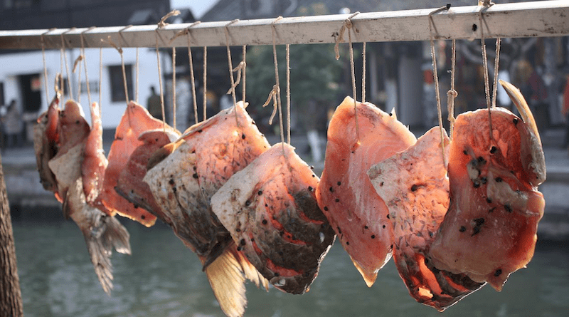 China Fish Market Dried Fish
