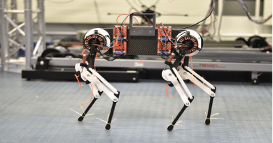 Morti the robot dog CREDIT: Felix Ruppert, Dynamic Locomotion Group at MPI-IS