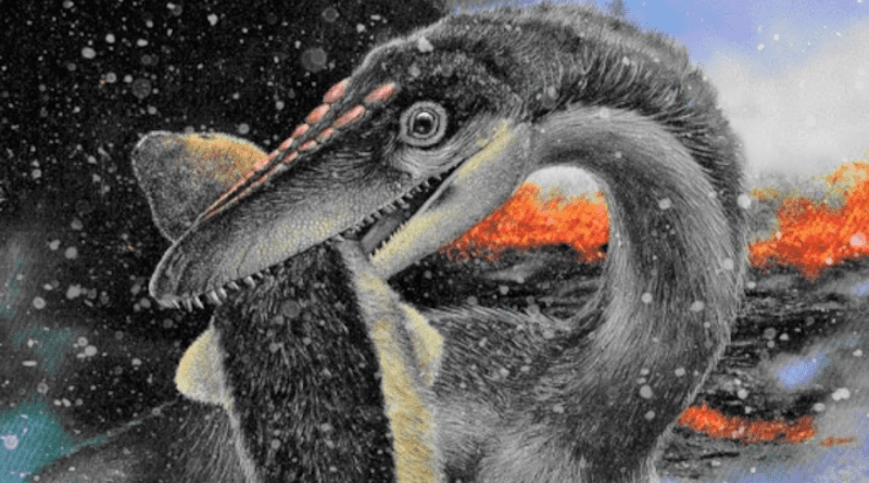 With a lava flow in the distance, a primitively feathered theropod dinosaur carries off a mammalian victim during a snowy volcanic winter caused by massive eruptions during the Triassic-Jurassic Extinction. A new study says dinosaurs survived because they were already adapted to freezing conditions at high latitudes. CREDIT: Painting by Larry Felder
