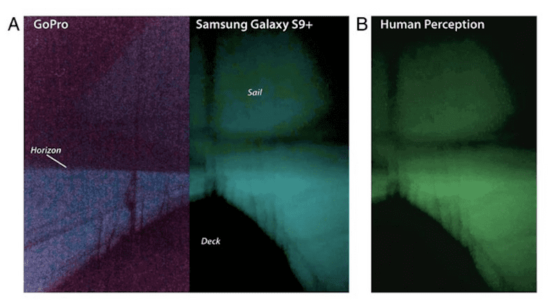 Digital photography of the 2019 Java milky sea, captured by the Ganesha crew. The image shows a view of (A) the ship’s prow and (B) a color-adjusted version of the Samsung photo approximating the visual perception of the glow. CREDIT: Crew of the Ganesha