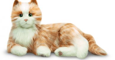 A Joy For All companion cat CREDIT: Joy for All Companion Pets/ Ageless Innovation.