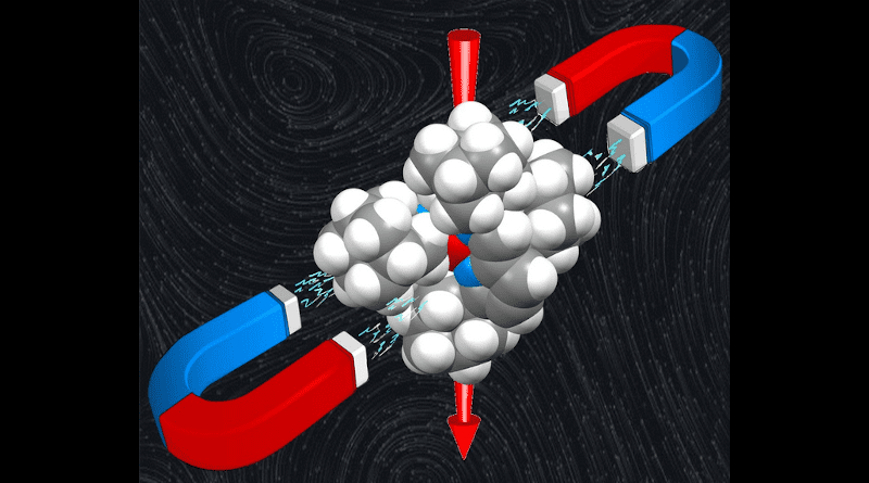 Molecular magnets CREDIT P. S. Ferreira, A. C. Cerdeira, T. F. C. Cruz, N. A. G. Bandeira, D. Hunger, A. Allgaier, J. van Slageren, M. Almeida, L. C. J. Pereira and P. T. Gomes, Inorg. Chem. Front., 2022, Advance Article , DOI: 10.1039/D2QI00601D