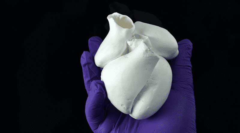 Full-scale four-chambered human heart model composed of single-micrometer fibers. CREDIT: Disease Biophysics Group/Harvard SEAS