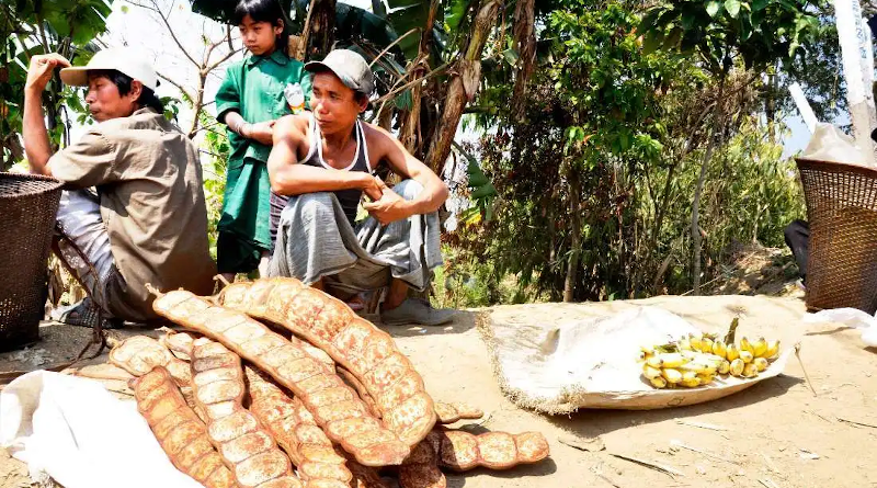 Ethnic tribal people sell their produce at a roadside market in the Chittagong Hill Tracts of Bangladesh. (Photo: UCA News)