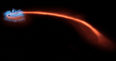 If a star (red trail) wanders too close to a black hole (left), it can be shredded, or spaghettified, by the intense gravity. Some of the star’s matter swirls around the black hole, like water down a drain, emitting copious X-rays (blue). Recent studies of these so-called tidal disruption events suggest that a significant fraction of the star’s gas is also blown outward by intense winds from the black hole, in some cases creating a cloud that obscures the accretion disk and the high-energy events happening within. Credit: NASA/CXC/M. Weiss