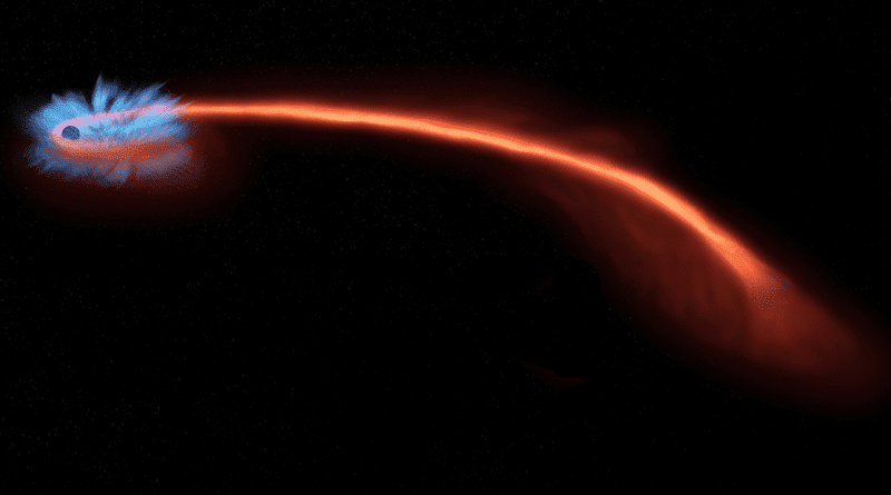 If a star (red trail) wanders too close to a black hole (left), it can be shredded, or spaghettified, by the intense gravity. Some of the star’s matter swirls around the black hole, like water down a drain, emitting copious X-rays (blue). Recent studies of these so-called tidal disruption events suggest that a significant fraction of the star’s gas is also blown outward by intense winds from the black hole, in some cases creating a cloud that obscures the accretion disk and the high-energy events happening within. Credit: NASA/CXC/M. Weiss