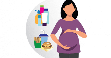 The image shows how a pregnant person may be exposed to phthalates by eating packaged foods and beverages or through personal care product use. CREDIT: NIEHS