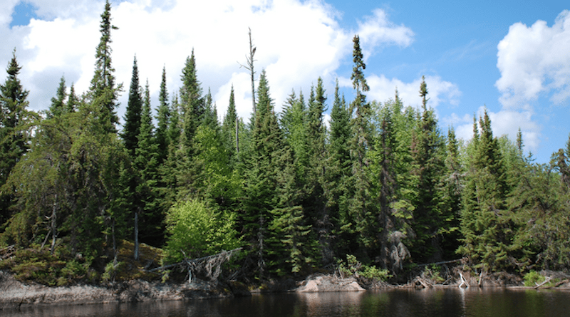 The analysis flagged sensitive ‘hotspots’ across all biomes, indicating pockets of forest at greater risk. These include boreal forests in eastern North America. CREDIT: Steve Conger