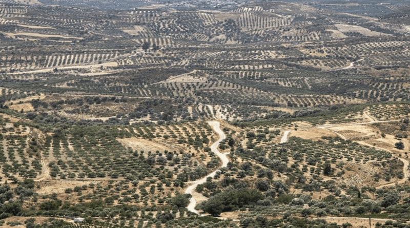 Agricultural land in Crete. Approximately 31% of the EU’s total soil organic carbon is found in agricultural soils (9.3% in grasslands and 21.4% in croplands), Andrés et al. (2022). Image: public domain.