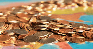 Coins Money Ruble Salary Map Bribe Taxes