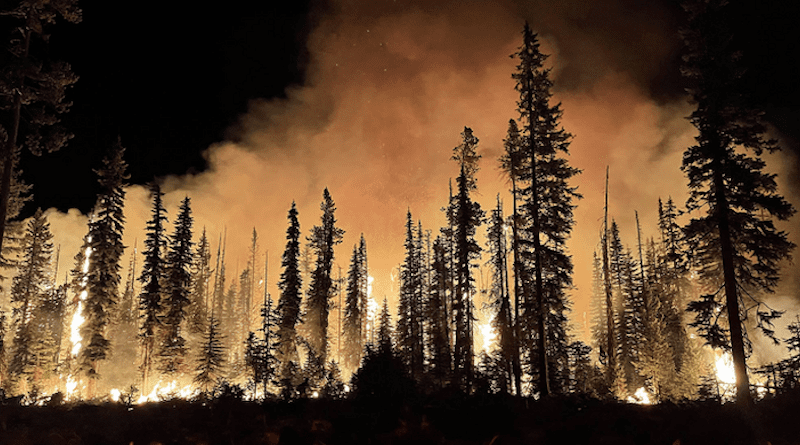 Wildfire at Lick Creek, Umatilla National Forest, Oregon, United States. CREDIT: Brendan O'Reilly/U.S. Forest Service