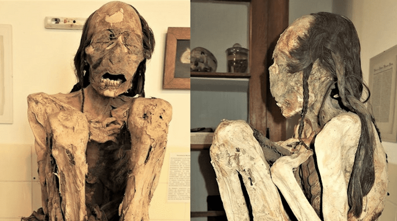 The Marburg male mummy – macroscopic views of the whole mummy CREDIT: A-M Begerock, R Loynes, OK Peschel, J Verano, R Bianucci, I Martinez Armijo, M González, AG Nerlich